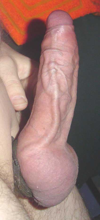 Big Veiny Cock Cruiser Gallery